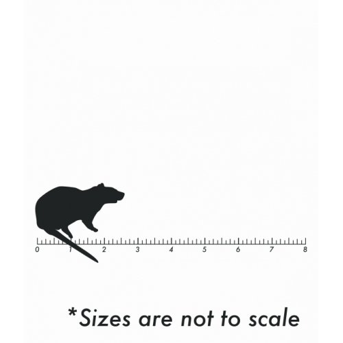 Frozen Fuzzy Rat Frozen Fuzzy Rat