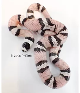 Anerythistic Honduran Milksnake - Female