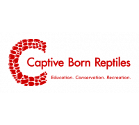 Captive Born Reptiles