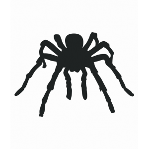 Scorpions & Tarantulas Scorpions & Tarantulas